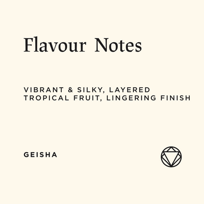 La Esmeralda 2025, Panamá