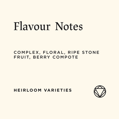 Negele Gorbitu Anaerobic Natural, Ethiopia